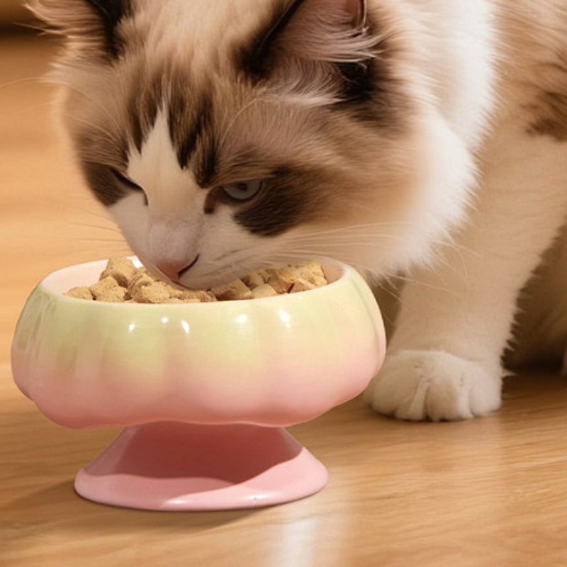 Ceramic Cat Bowl – Tilted Anti-Spill Pet Bowl for Cats, Neck-Friendly Food & Water Dishv