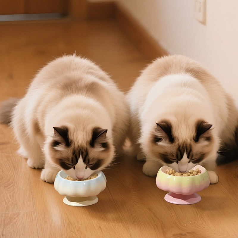 Ceramic Cat Bowl – Tilted Anti-Spill Pet Bowl for Cats, Neck-Friendly Food & Water Dishv