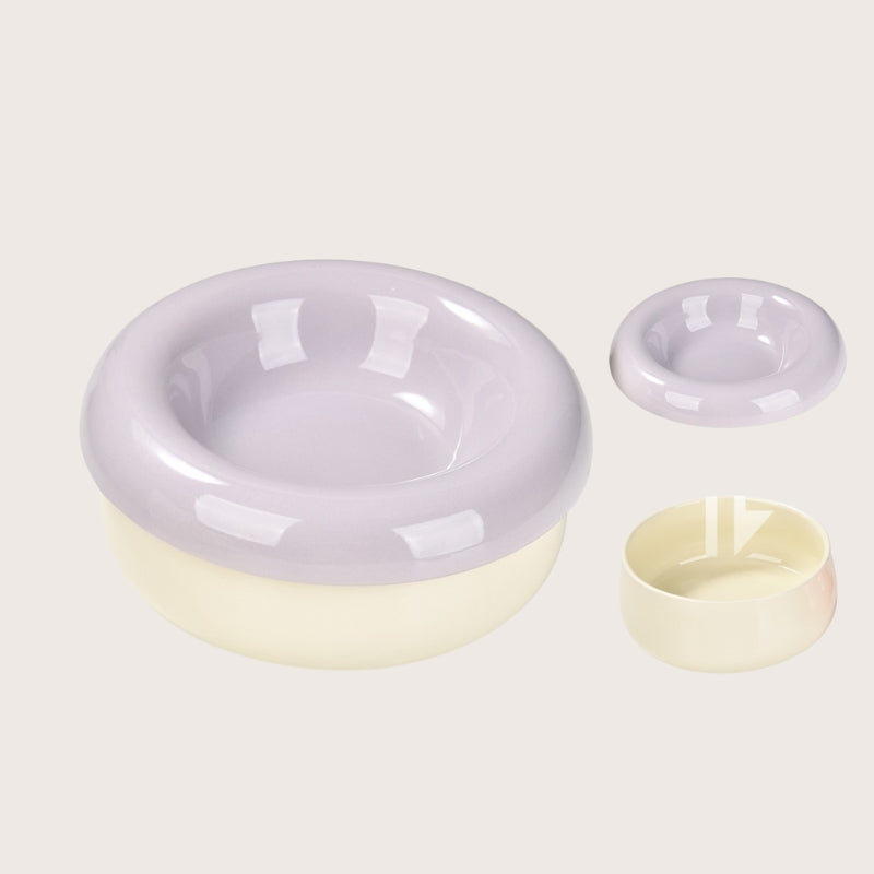 Ceramic Cat Bowl – Tilted Anti-Spill Pet Bowl for Cats, Neck-Friendly Food & Water Dishv