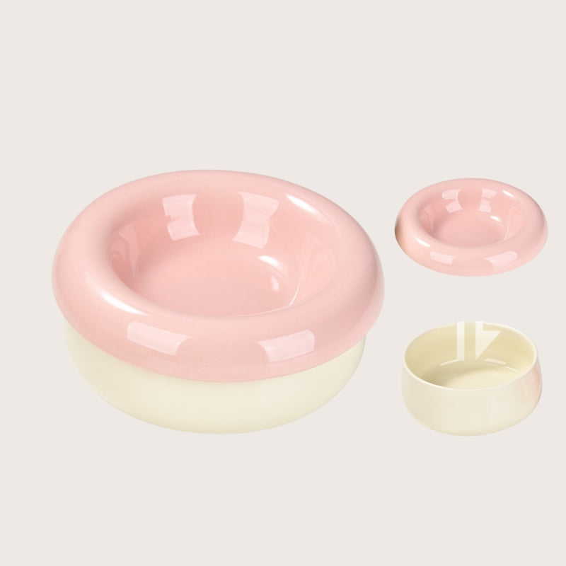 Ceramic Cat Bowl – Tilted Anti-Spill Pet Bowl for Cats, Neck-Friendly Food & Water Dishv