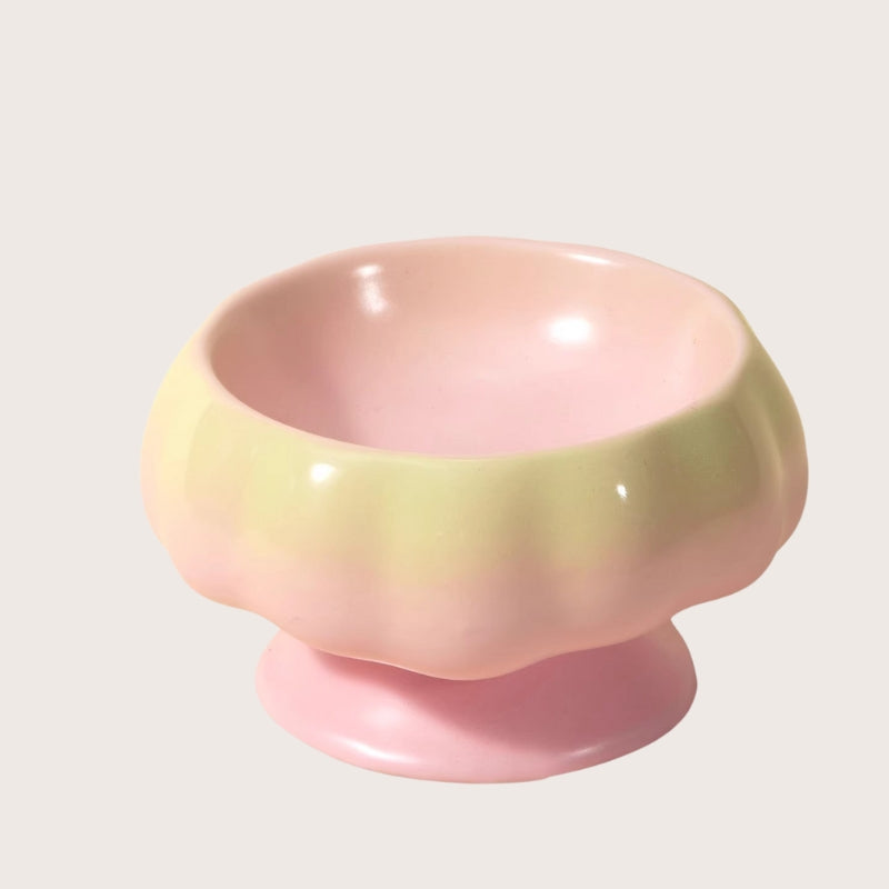 Ceramic Cat Bowl – Tilted Anti-Spill Pet Bowl for Cats, Neck-Friendly Food & Water Dishv