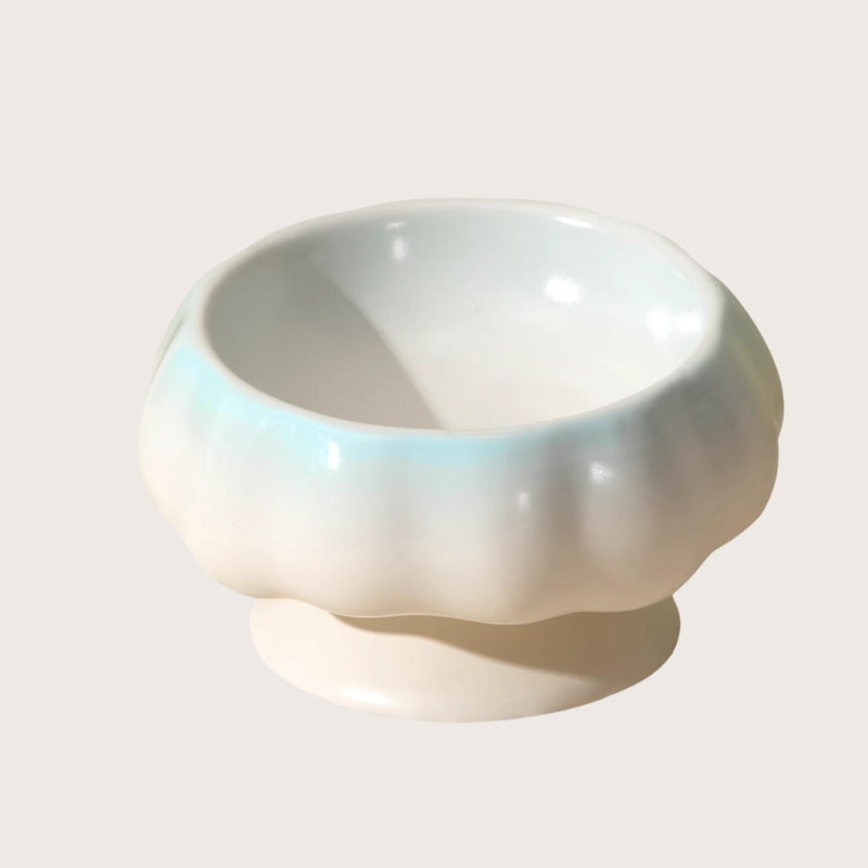 Ceramic Cat Bowl – Tilted Anti-Spill Pet Bowl for Cats, Neck-Friendly Food & Water Dishv