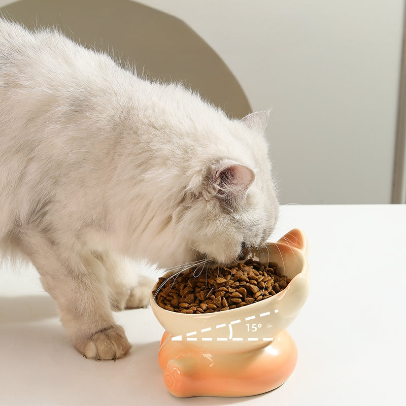 Gradient Ceramic Elevated Tilted Pet Bowl – Neck-Friendly Anti-Spill Bowl for Cats & Small Dogs
