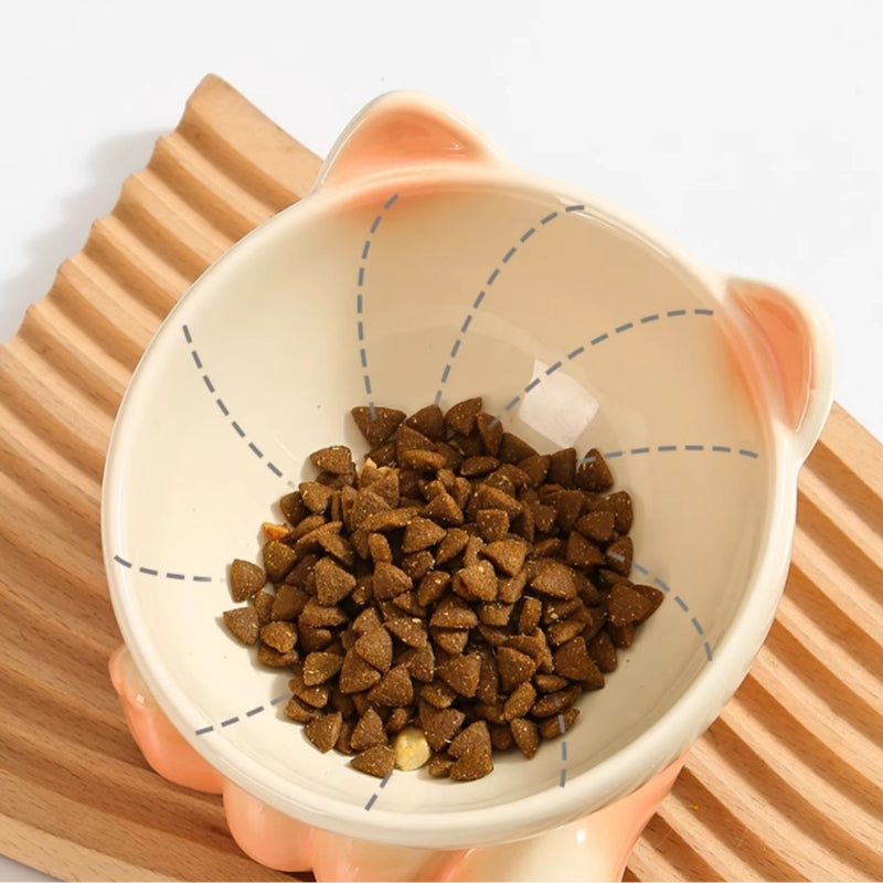 Gradient Ceramic Elevated Tilted Pet Bowl – Neck-Friendly Anti-Spill Bowl for Cats & Small Dogs