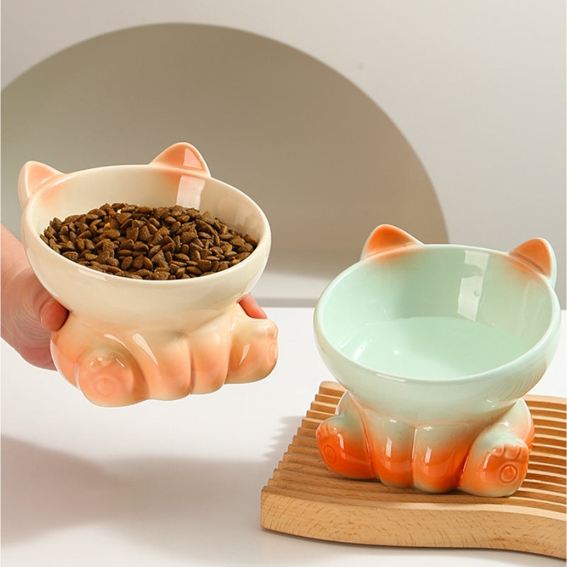 Gradient Ceramic Elevated Tilted Pet Bowl – Neck-Friendly Anti-Spill Bowl for Cats & Small Dogs