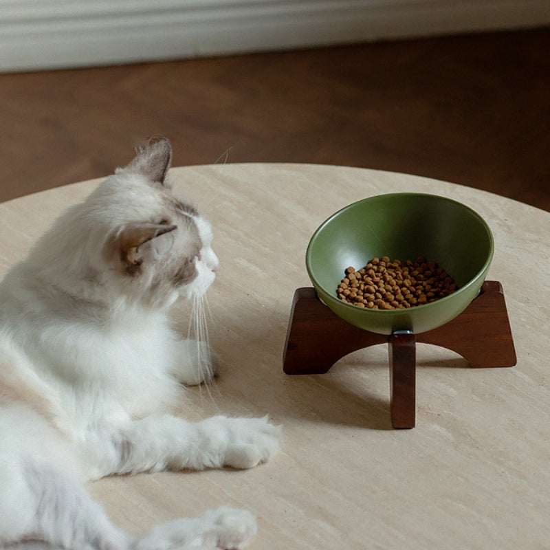 Ceramic Tilted Pet Bowl – Cat Food Bowl & Small Dog Feeding Dish