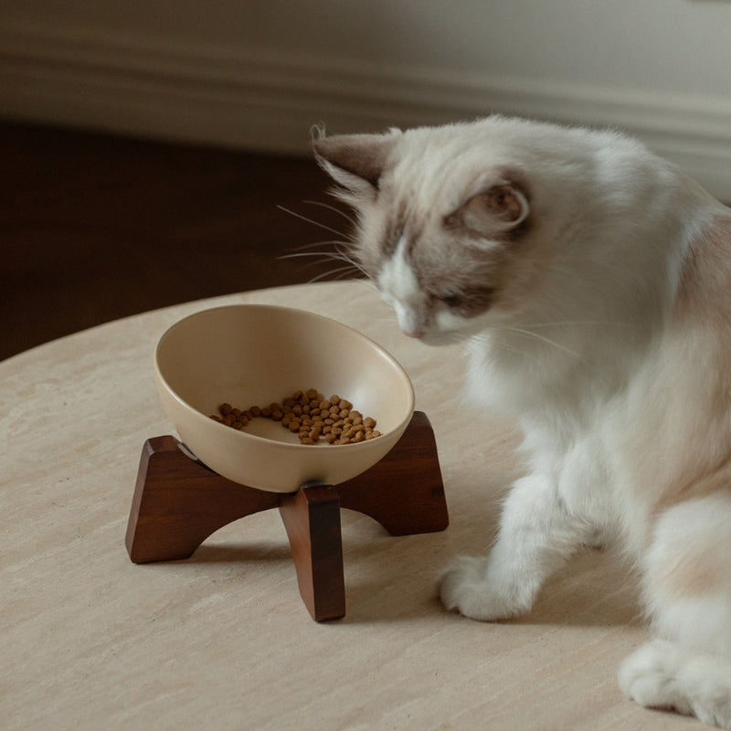 Ceramic Tilted Pet Bowl – Cat Food Bowl & Small Dog Feeding Dish