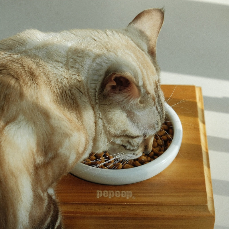 Ceramic Pet Bowl with Stand – Modern Feeding Furniture for Cats & Small Dogs