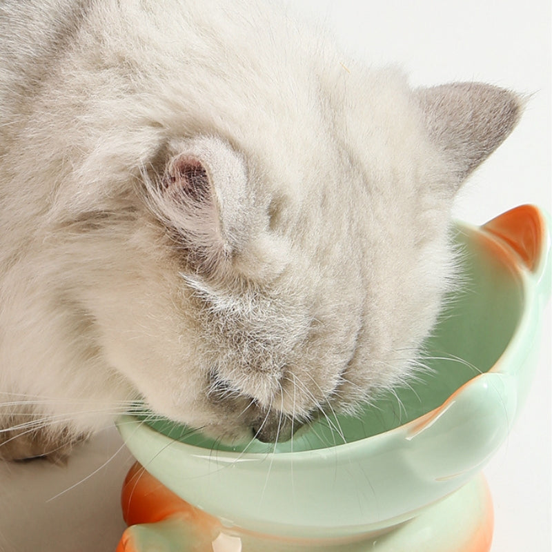 Gradient Ceramic Elevated Tilted Pet Bowl – Neck-Friendly Anti-Spill Bowl for Cats & Small Dogs