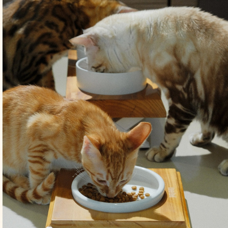 Ceramic Pet Bowl with Stand – Modern Feeding Furniture for Cats & Small Dogs