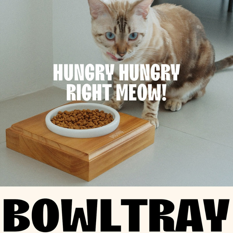 Ceramic Pet Bowl with Stand – Modern Feeding Furniture for Cats & Small Dogs