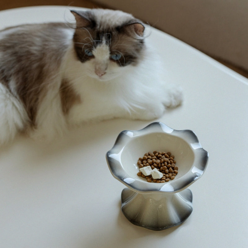 Elevated Ceramic Cat Bowl – Stylish Raised Feeding Bowl for Cats, Neck-Friendly Design