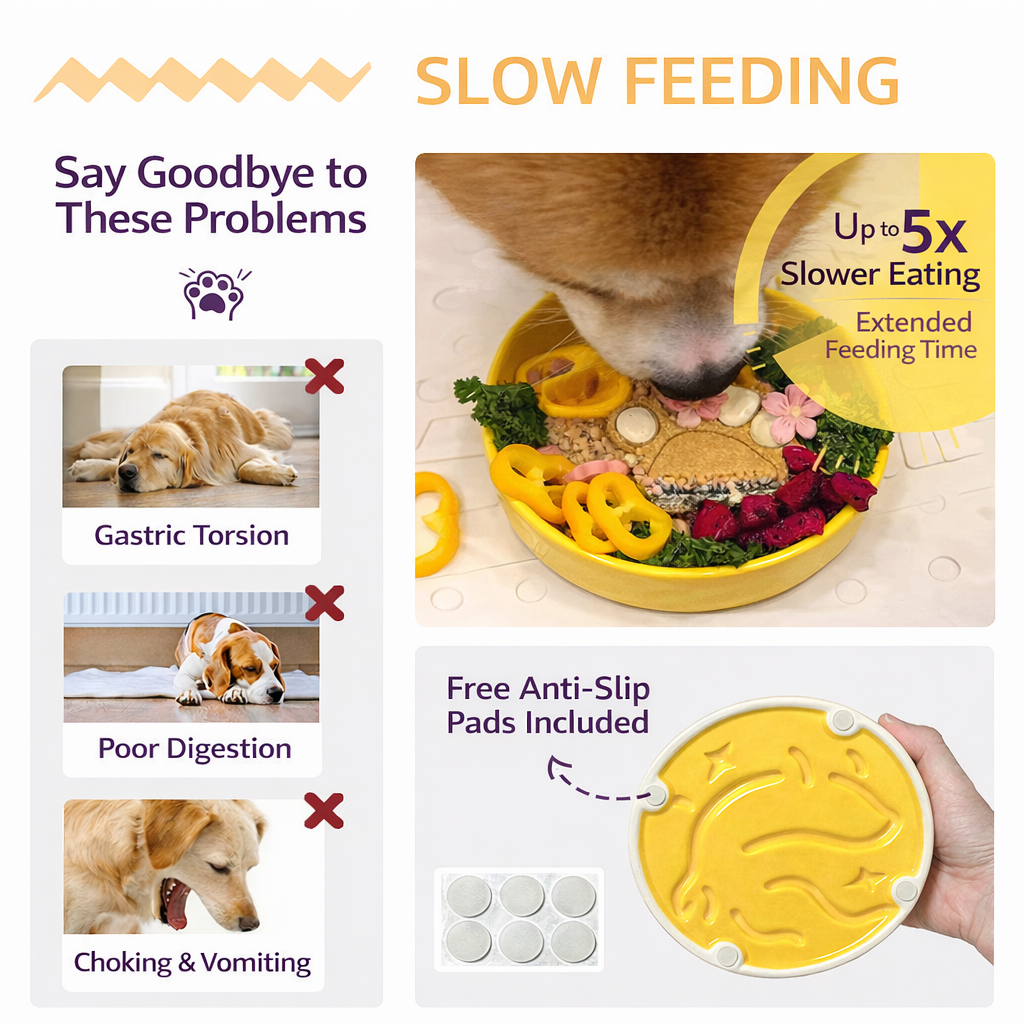 Anti-Tip Ceramic Pet Bowl – Food & Water Bowl for Cats and Small to Large Dogs