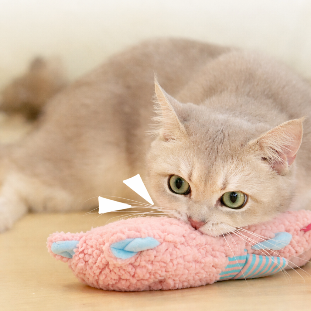 Interactive Cat Toy with Crinkle & Squeaker – Chew, Kick & Teaser Toy