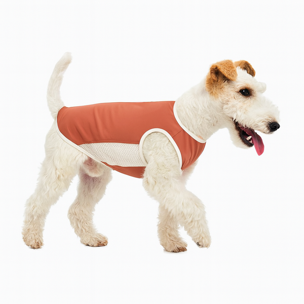 Lightweight Dog Sun Protection Shirt – Breathable Summer Outfit for Small & Medium Dogs