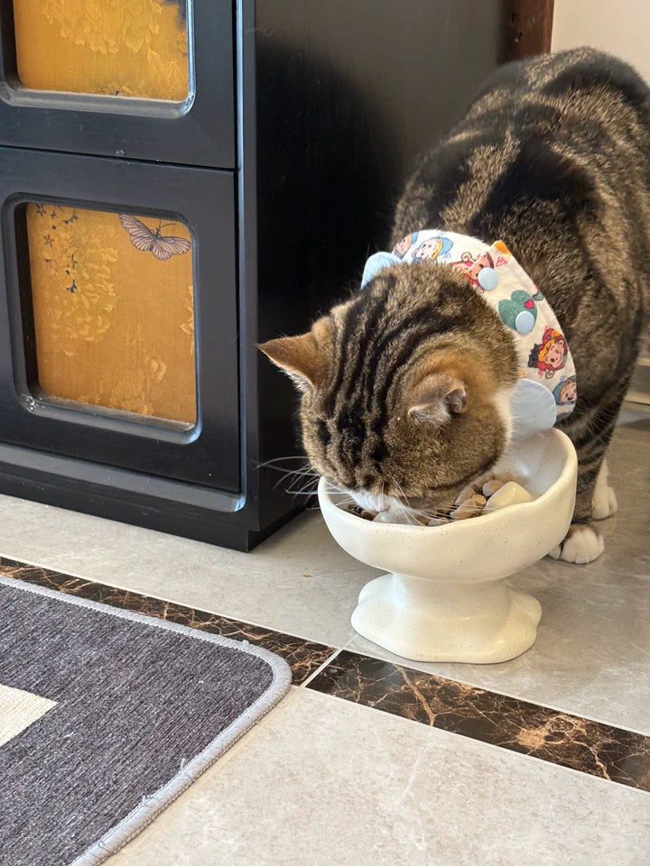 Angled Elevated Ceramic Slow Feeder Bowl for cat&small dog