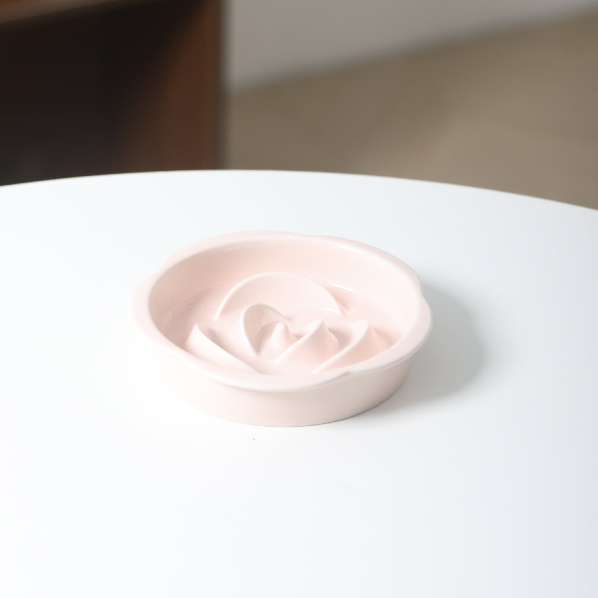 Elevated Ceramic Pet Bowl Set with Acrylic Stand – Slow Feeder Design for Cats & Small Dogs