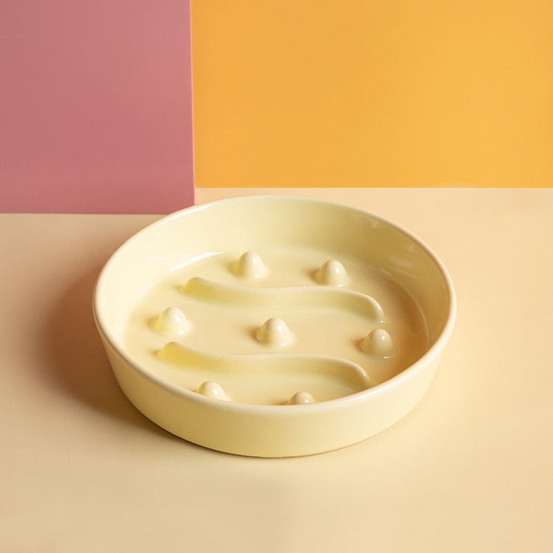 Ceramic Slow Feeder Bowl for Cats and Dogs