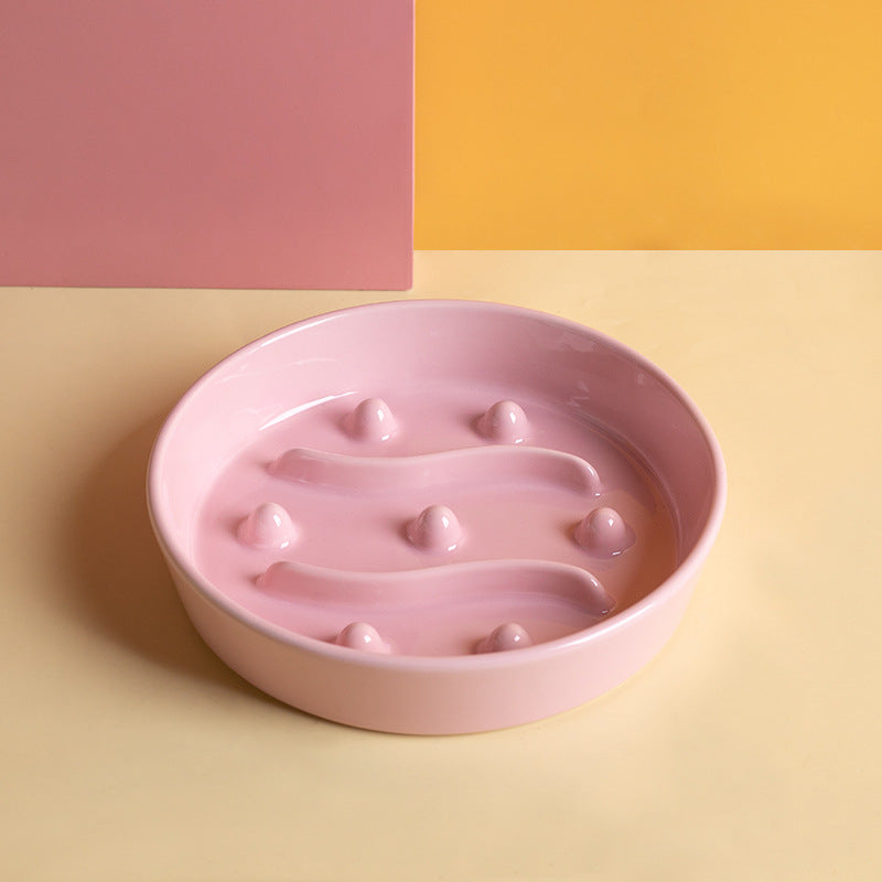 Ceramic Slow Feeder Bowl for Cats and Dogs