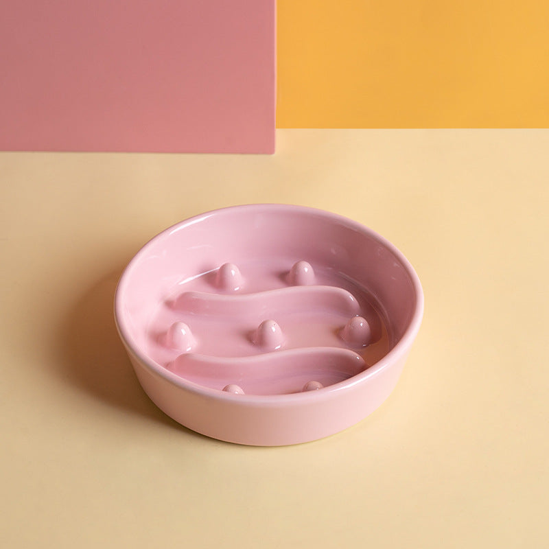 Ceramic Slow Feeder Bowl for Cats and Dogs