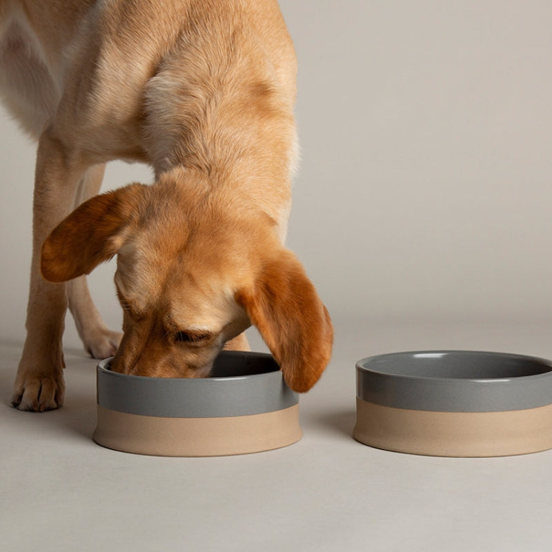 Anti-Tip Ceramic Pet Bowl – Food & Water Bowl for Cats and Small to Large Dogs