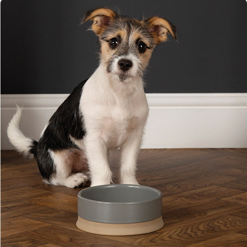 Anti-Tip Ceramic Pet Bowl – Food & Water Bowl for Cats and Small to Large Dogs