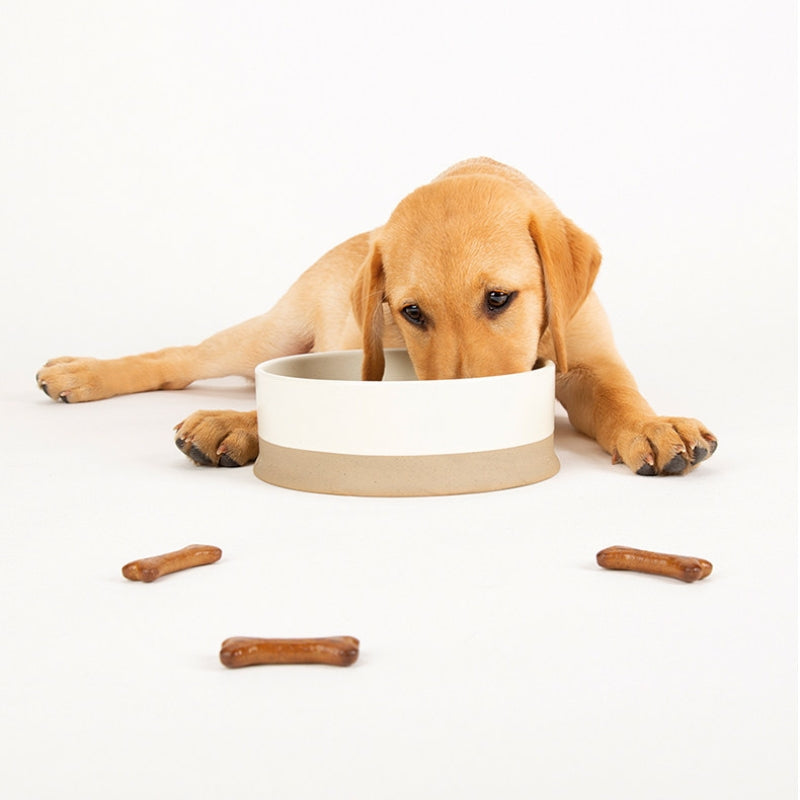 Anti-Tip Ceramic Pet Bowl – Food & Water Bowl for Cats and Small to Large Dogs