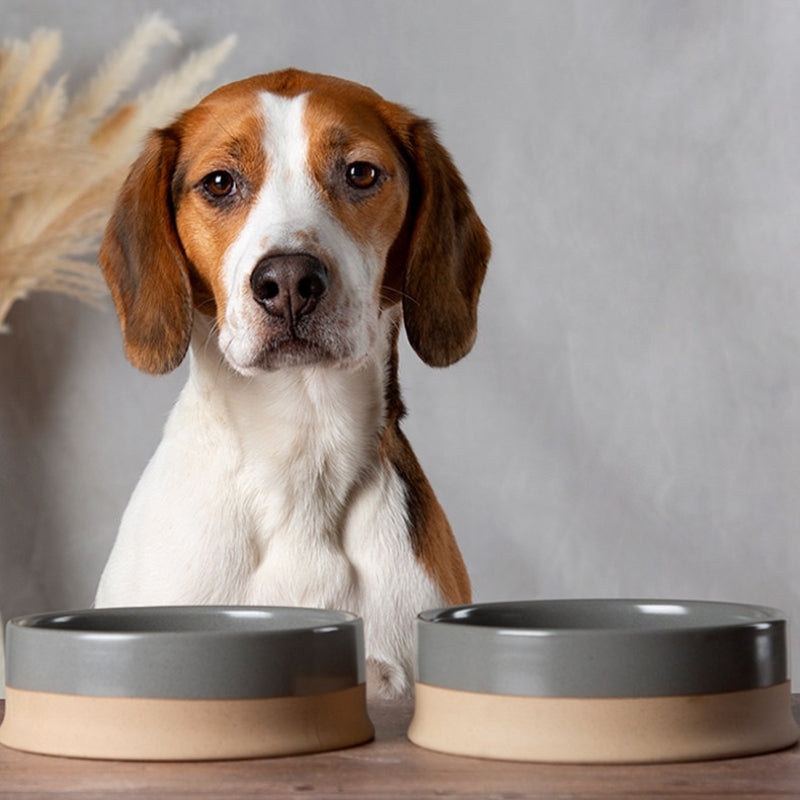 Anti-Tip Ceramic Pet Bowl – Food & Water Bowl for Cats and Small to Large Dogs