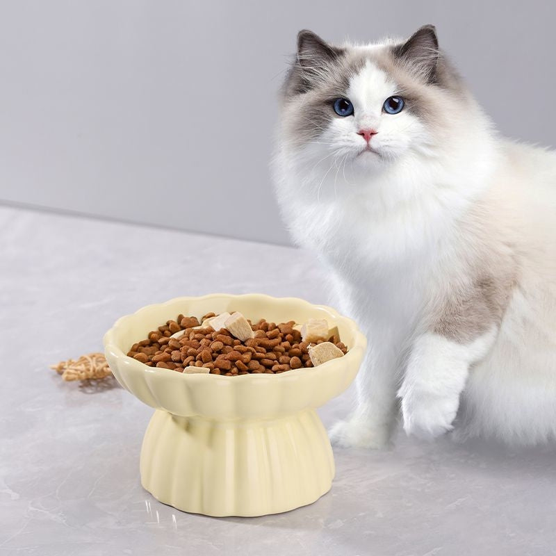 Elevated Ceramic Slow Feeder Cat Bowl – Anti-Choking, Anti-Acne, Anti-Tip Feeding Bowl