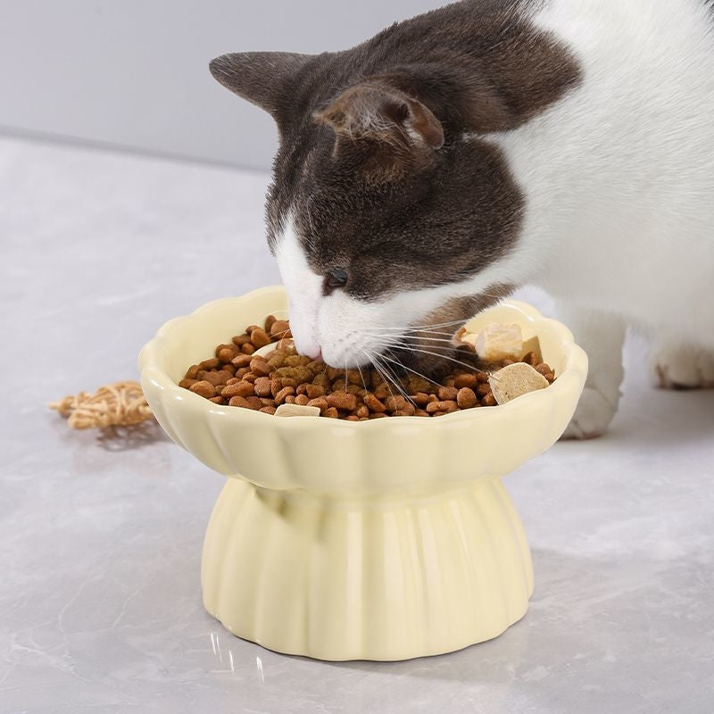 Elevated Ceramic Slow Feeder Cat Bowl – Anti-Choking, Anti-Acne, Anti-Tip Feeding Bowl
