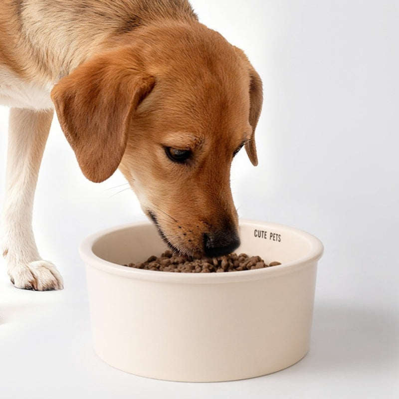 Large Ceramic Dog Bowl – Extra Large Capacity Pet Food & Water Bowl for Dogs