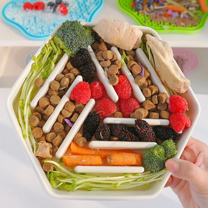 Dog Slow Feeder Bowl – Anti-Choking Slow Feeding & Enrichment Bowl for Medium & Large Dogs