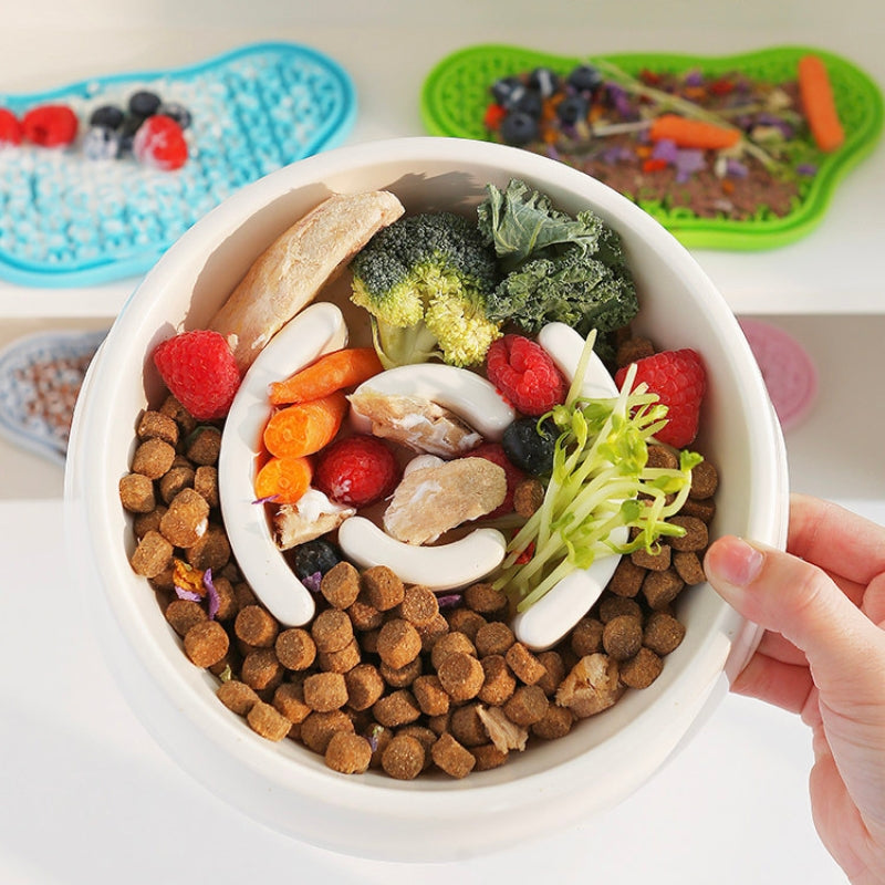 Dog Slow Feeder Bowl – Anti-Choking Slow Feeding & Enrichment Bowl for Medium & Large Dogs