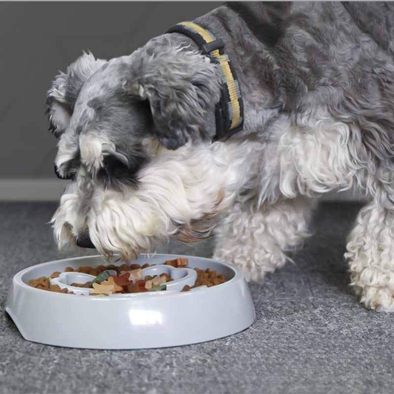 Dog Slow Feeder Bowl – Anti-Choking Slow Feeding & Enrichment Bowl for Medium & Large Dogs