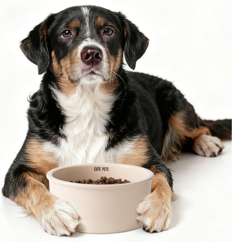 Large Ceramic Dog Bowl – Extra Large Capacity Pet Food & Water Bowl for Dogs