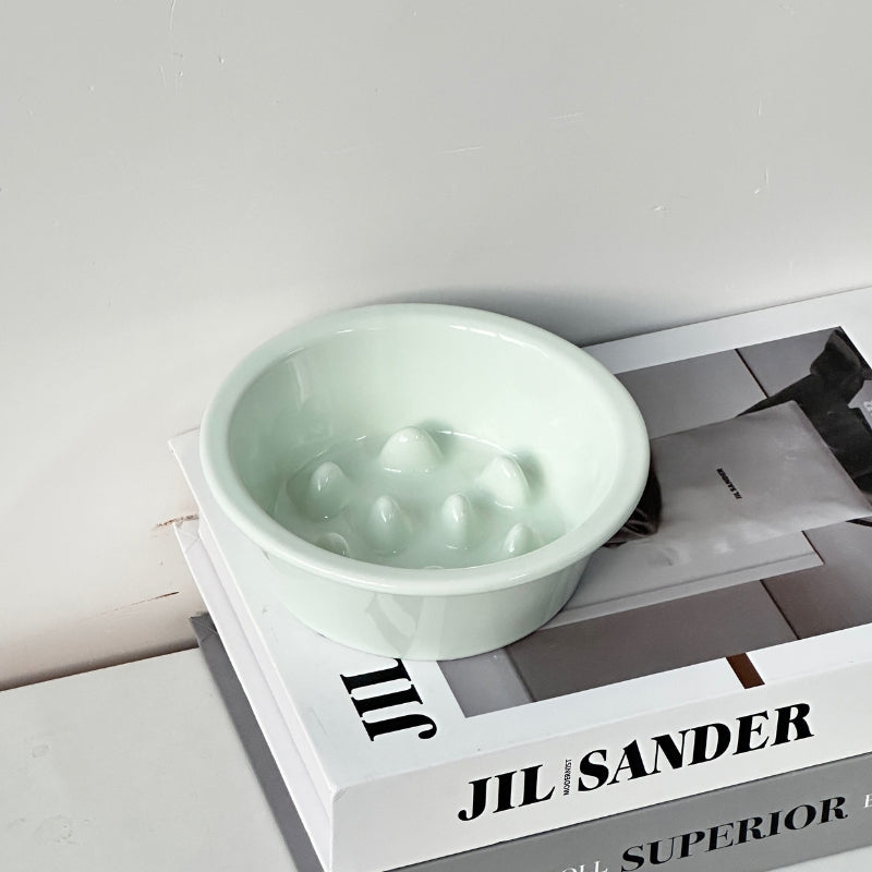 Ceramic Elevated Slow Feeder Bowl – Anti-Choking Feeding Bowl for Cats & Dogs