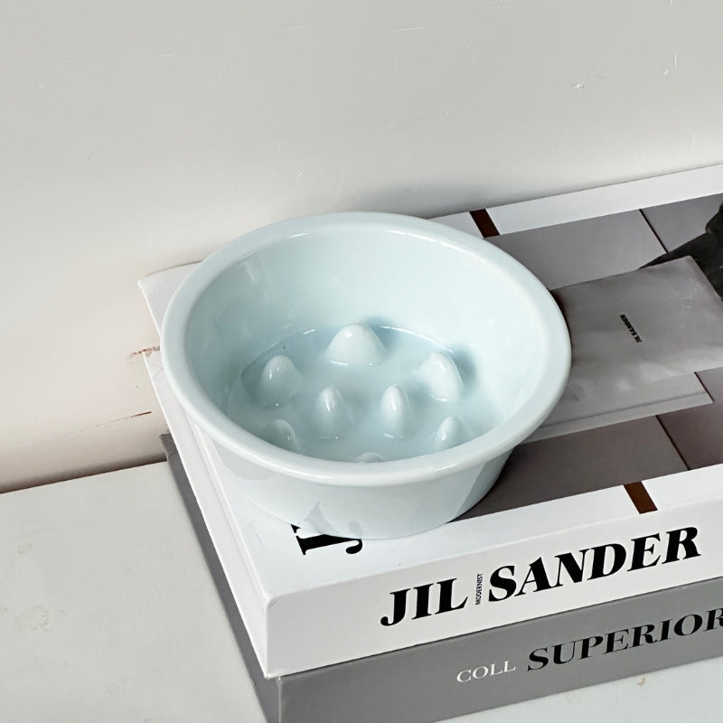 Ceramic Elevated Slow Feeder Bowl – Anti-Choking Feeding Bowl for Cats & Dogs