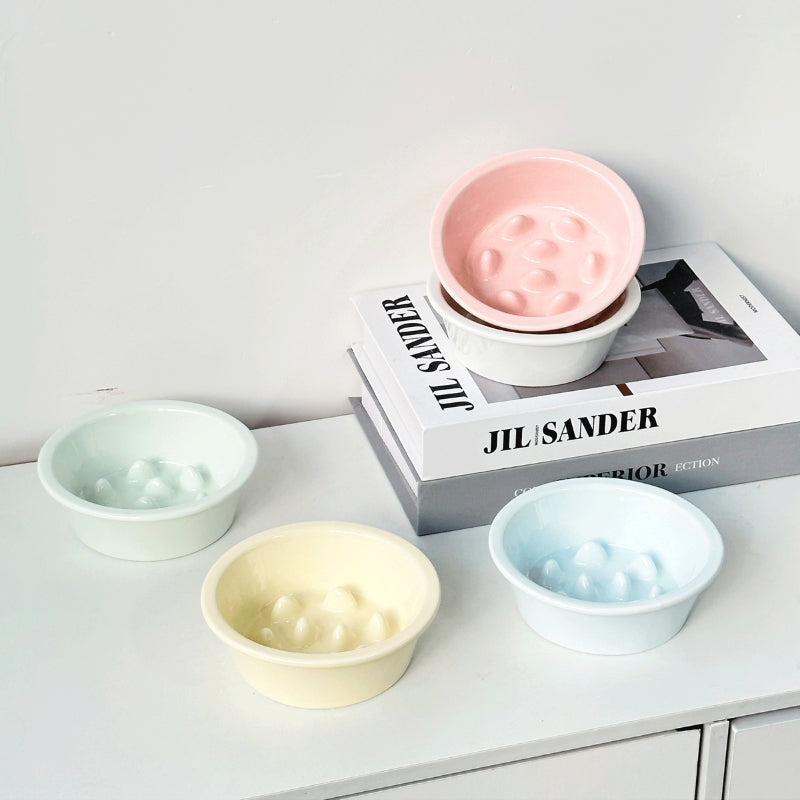 Ceramic Elevated Slow Feeder Bowl – Anti-Choking Feeding Bowl for Cats & Dogs