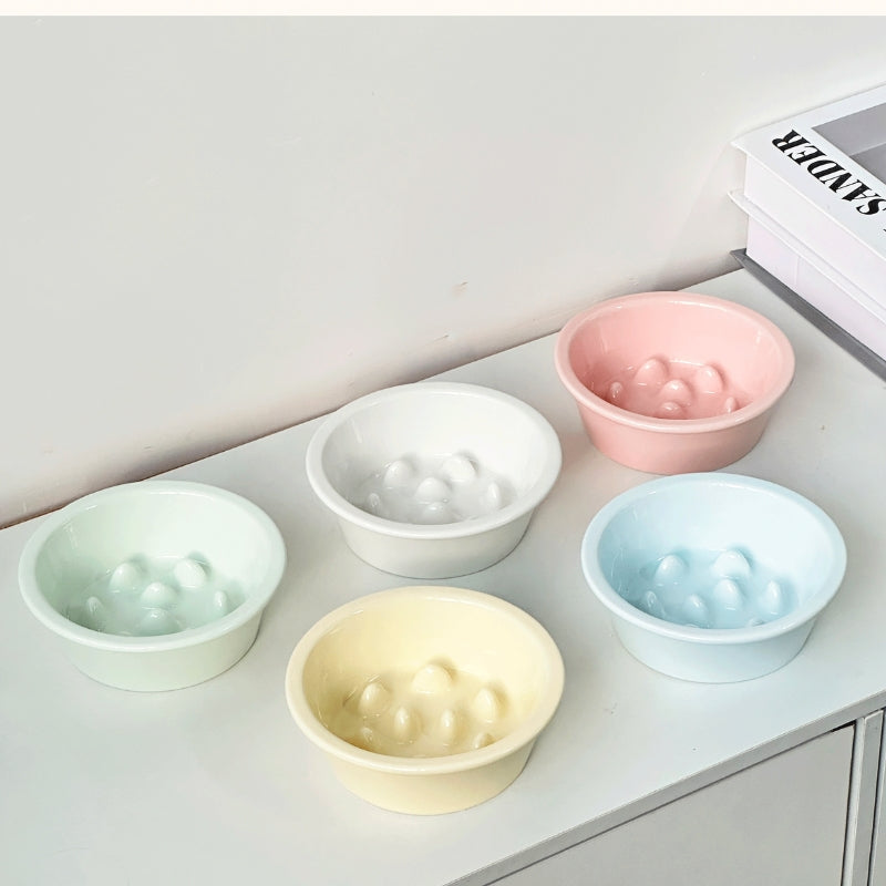 Ceramic Elevated Slow Feeder Bowl – Anti-Choking Feeding Bowl for Cats & Dogs
