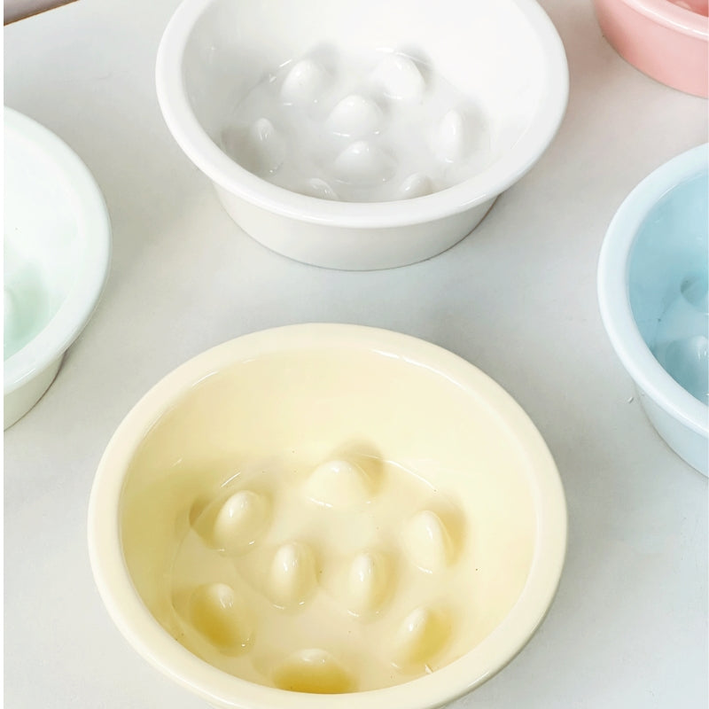 Ceramic Elevated Slow Feeder Bowl – Anti-Choking Feeding Bowl for Cats & Dogs