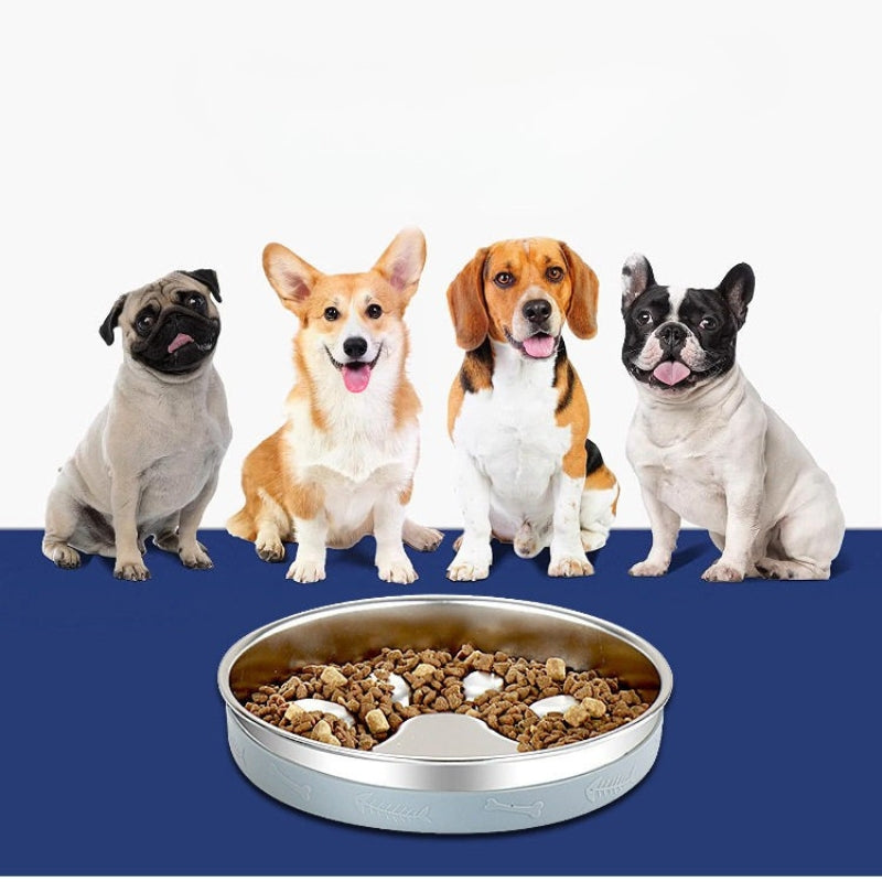 304 Stainless Steel Slow Feeder Bowl – Anti-Choking Pet Bowl with Non-Slip Silicone Base for Dogs & Cats