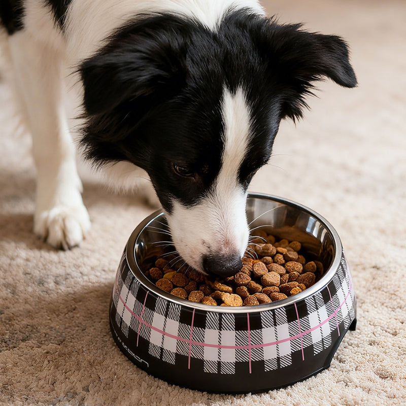304 Stainless Steel Pet Bowl – Round Dog & Cat Food Bowl for Small, Medium & Large Pets