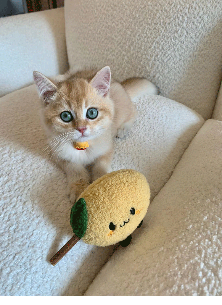 Silvervine Cat Toy – Natural Silvervine Toy for Cats