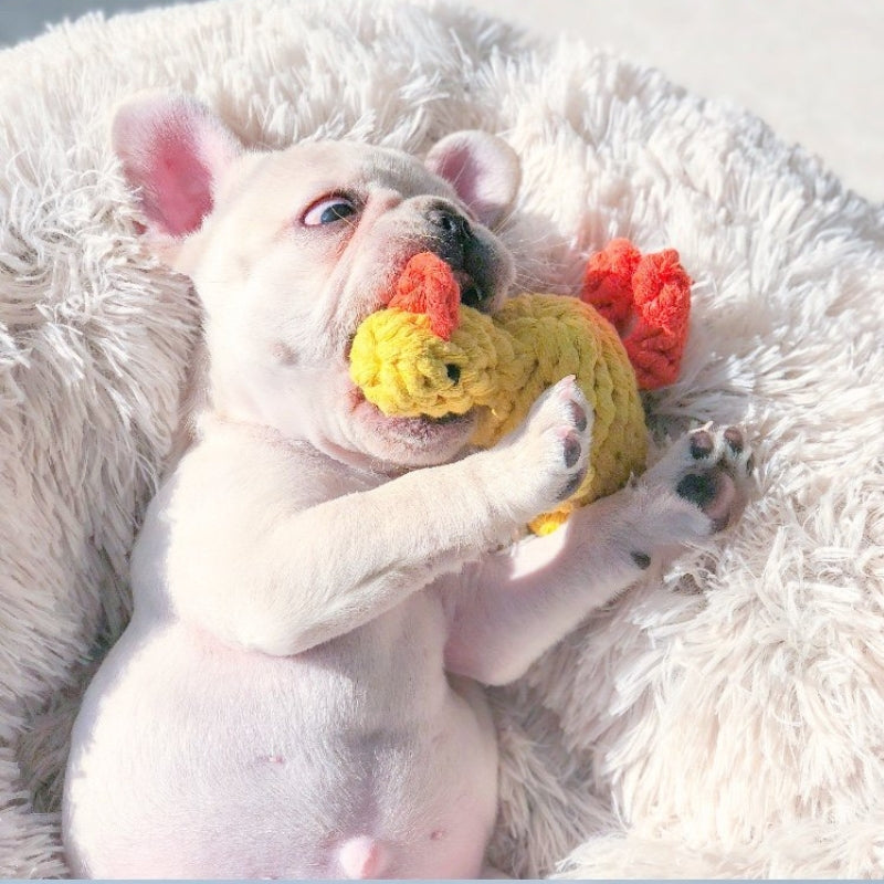 Dog Rope Knot Chew Toy – Carrot & Duck Cotton Rope Toy for Puppies