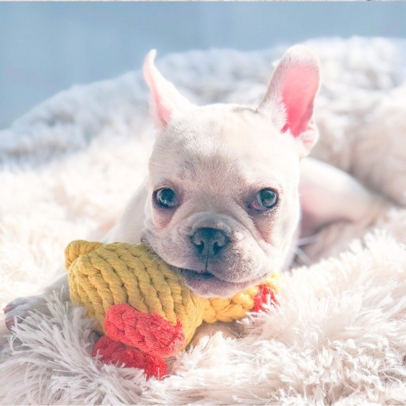 Dog Rope Knot Chew Toy – Carrot & Duck Cotton Rope Toy for Puppies