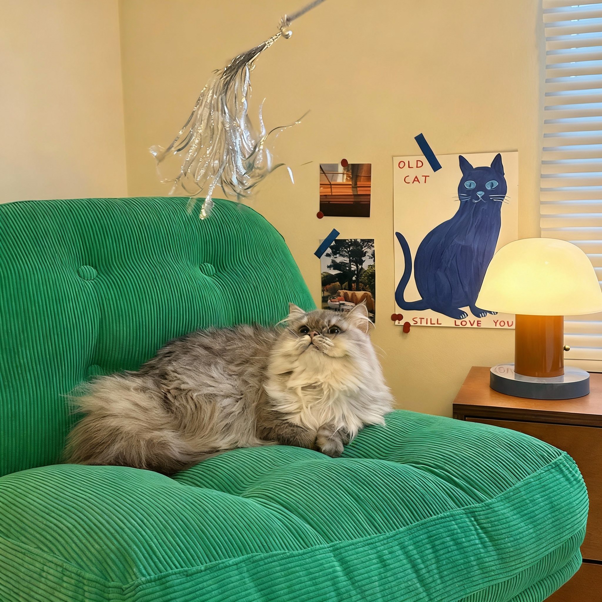 6-Piece Cat Teaser Wand Set – Interactive Toy Set for Cats