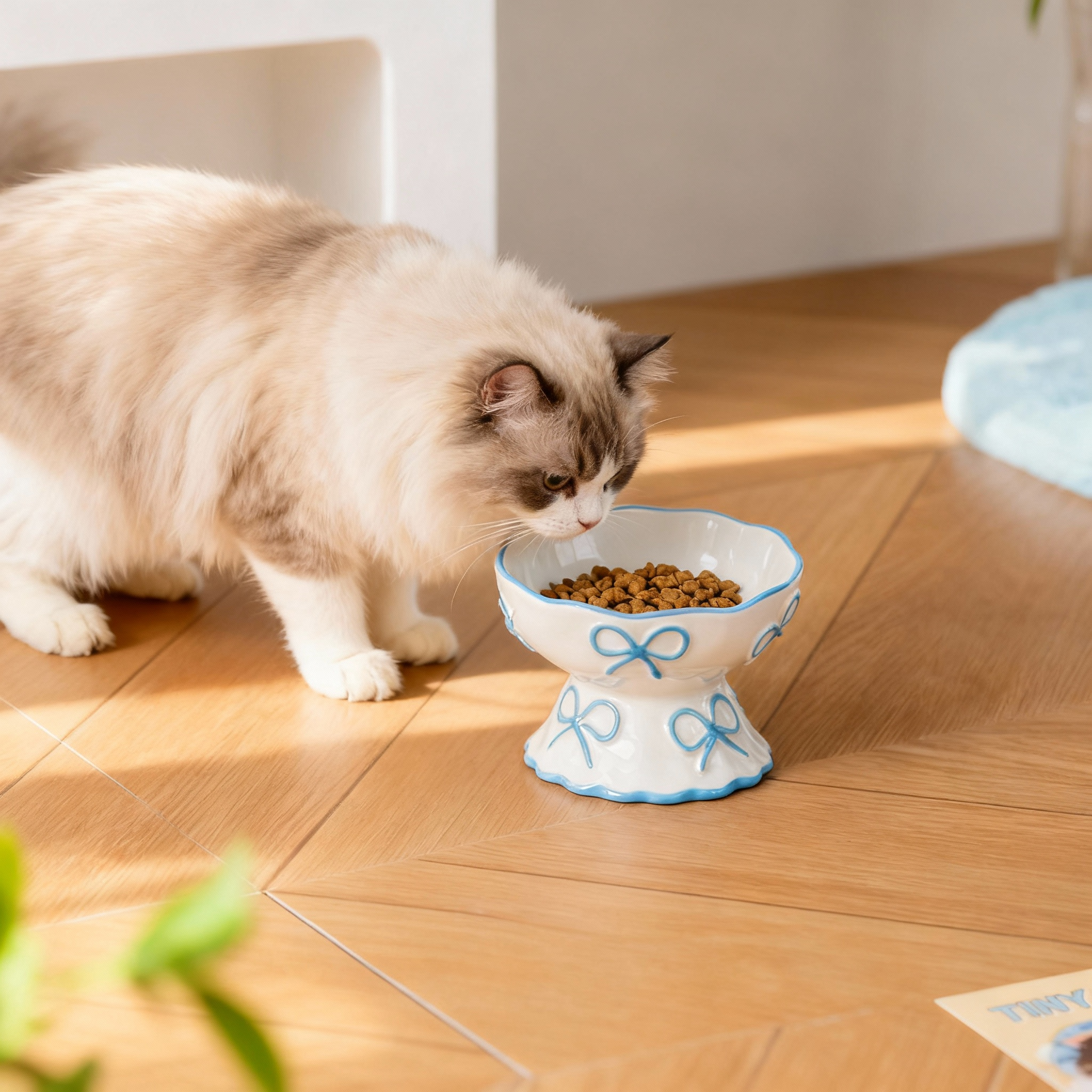 Elevated Ceramic Cat Bowl for Cats & Small Dogs – Raised Pet Food Bowl