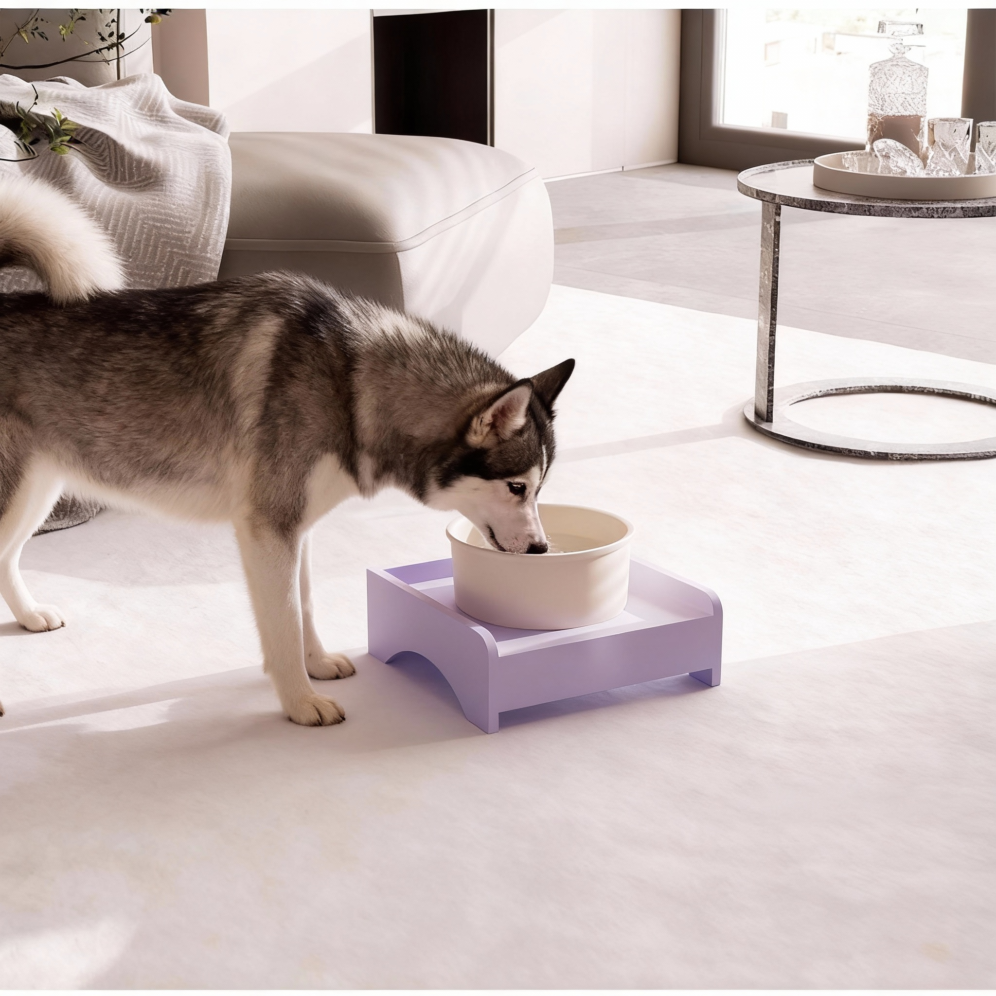 Large Ceramic Dog Bowl – Extra Large Capacity Pet Food & Water Bowl for Dogs