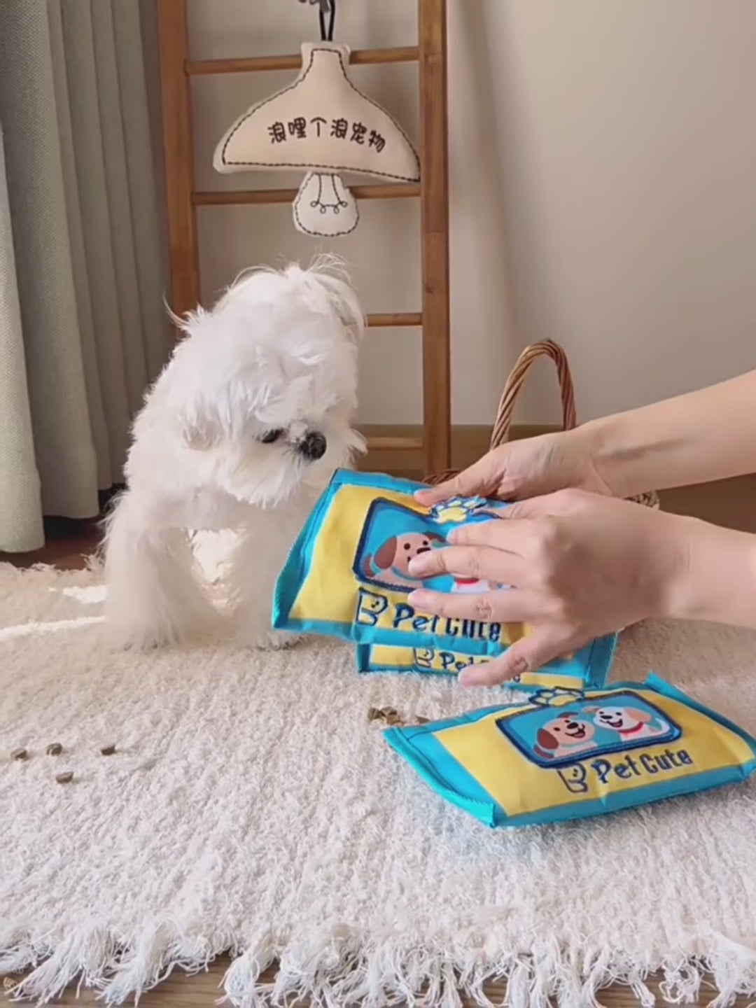 Pull-Out Treat Puzzle Toy – Interactive Snuffle & Foraging Toy for Dogs and Cats