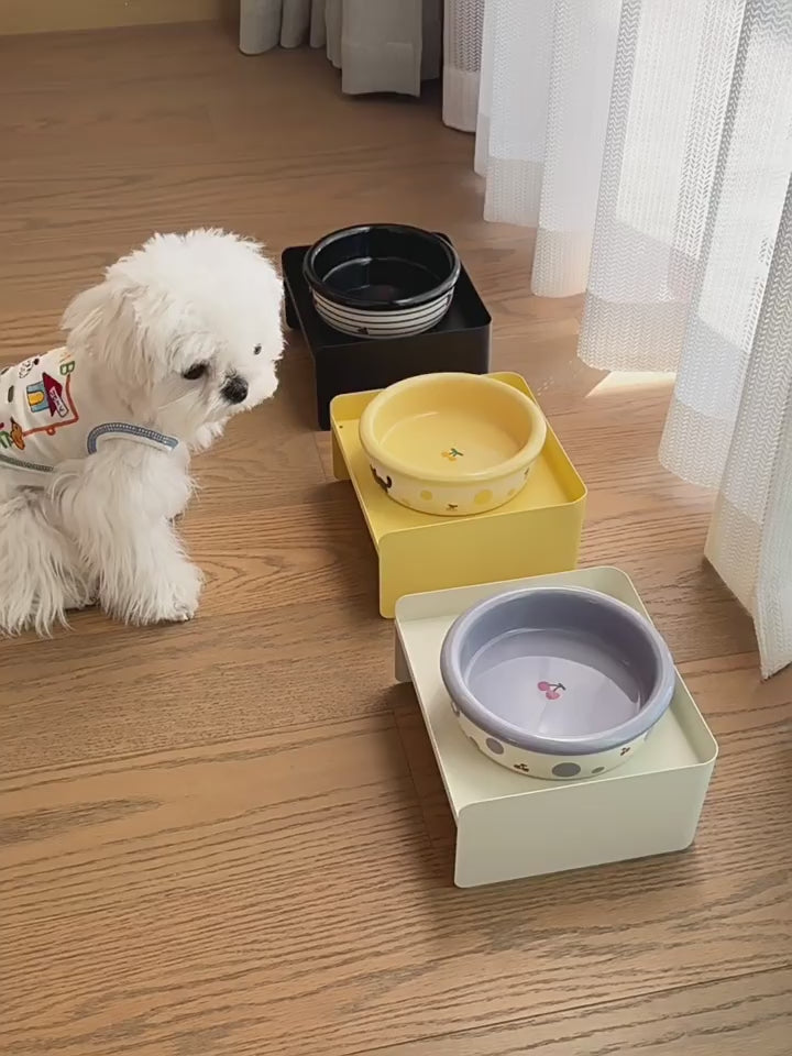 Ceramic Pet Bowl for Cats & Small Dogs – Everyday Feeding Bowl